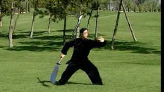 Chen TaiChi  Kwan Dao