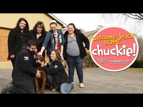 Lost Dog Rescued & Reunited with Family
