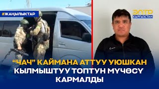 “ЧАЧ” КАЙМАНА АТТУУ УЮШКАН КЫЛМЫШТУУ ТОПТУН МҮЧӨСҮ КАРМАЛДЫ