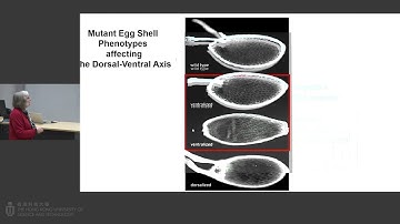 IAS Distinguished Lecture: Prof. Gertrud M. SCHÜPBACH (Nov 16, 2023)