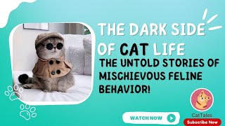17 The Dark Side of Cat Life - The Untold Stories of Mischievous Feline Behavior!
