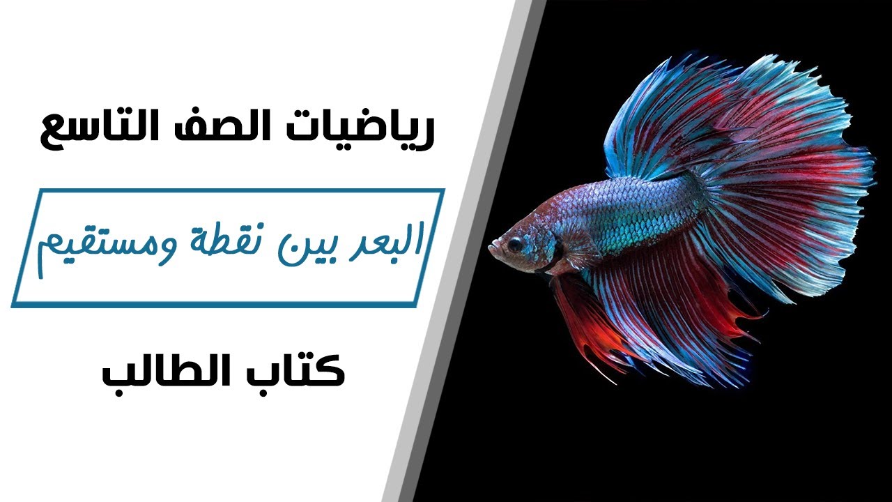 رياضيات الصف التاسع | البعد بين نقطة ومستقيم - كتاب الطالب