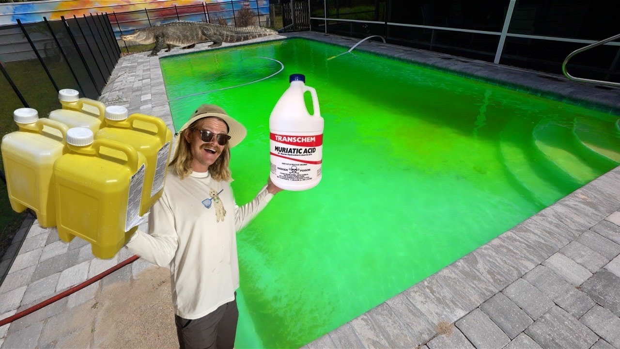 SWAMP to SWIM in 69 HOURS-GREEN POOL Transforms BLUE - YouTube