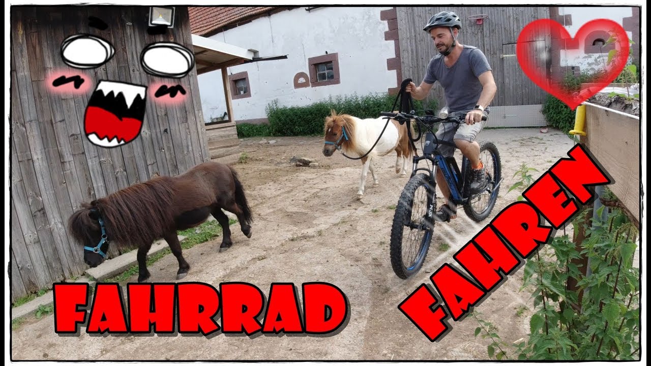 orbea jugendfahrrad MX 20 XC | 20 Zoll Kinderfahrrad | Mango (Gloss) Size:Stück Kuscheltier Aufbewahrung Netz, Boho sgd-sgf