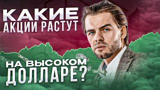 Какие акции растут на высоком долларе? Акции РФ. Какие акции купить?