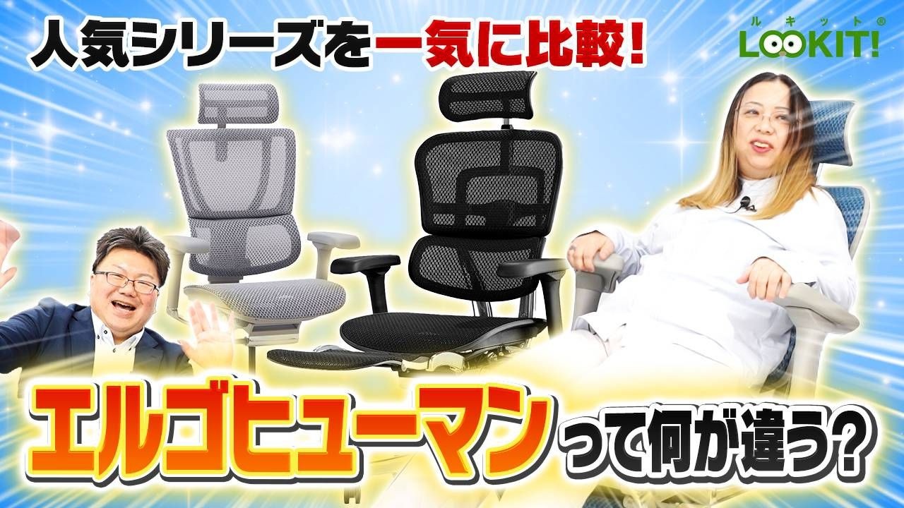 2026最新】腰痛対策に最強！エルゴヒューマン全モデル比較（PRO2/FIT2
