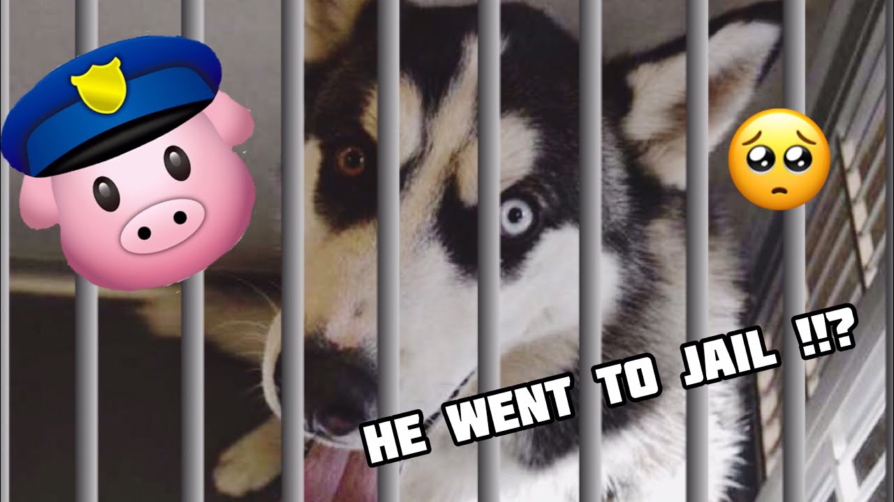 He Got Locked Up YouTube he-got-locked-up-youtube