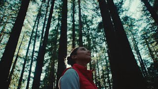 Simons Foundation | Critical Ecology Lab