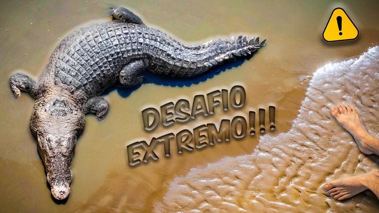 Мы ЛОВИЛИ КРОКОДИЛОВ голыми руками! (Последний = Укушен)