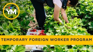 Ottawa tightens Temporary Foreign Worker Program | Your Morning