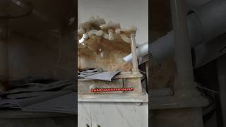 6.5 lakh ka mandir🤯😲Vietnam marble #shortvideo #reels #mandir #mumbai #turbhe #youtubeshorts #shorts