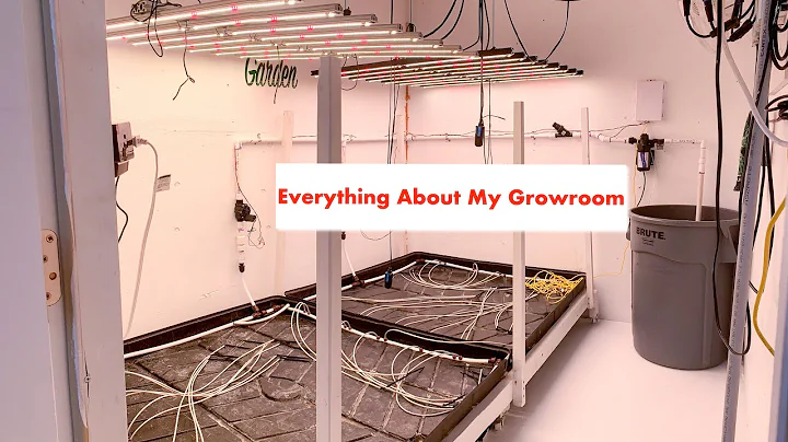 Everything About My Grow Room Setup