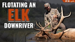 Floating an Elk DOWNRIVER
