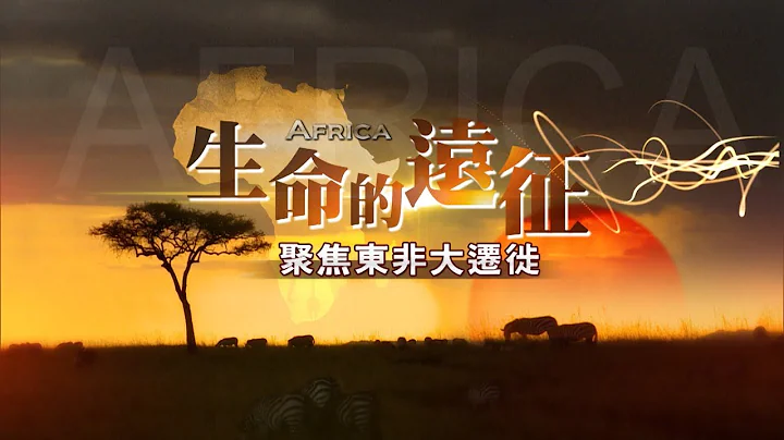 生命的远征   聚焦东非大迁徙《聚焦全世界》 - 天天要闻