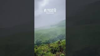 Netravathi #viral #shortsfeed #netravati