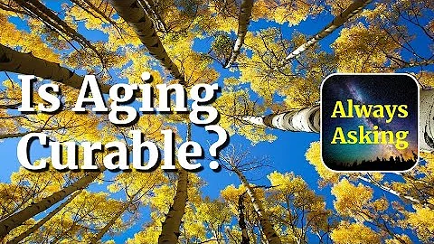 Is Aging Curable? - AlwaysAsking.com