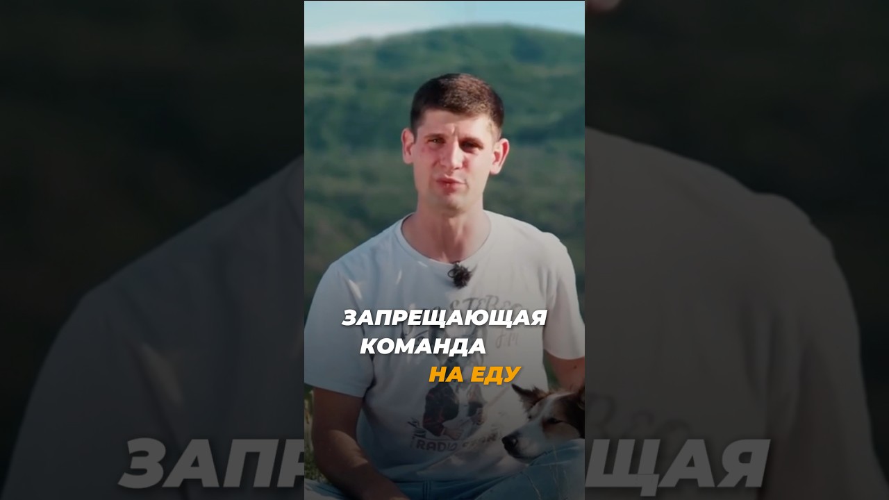 Запрет на еду 🎬 1 ШАГ отработки «нельзя»