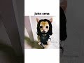 #yosho#digitalcreator #like #shere #subscribe #trendingshorts #ytdaily@MrBeast
