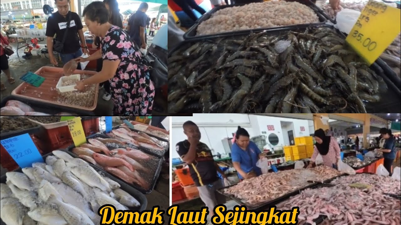 MACAM² HASIL LAUT DI MARKET BASAH PCC DEMAK LAUT SEJINGKAT KUCHING #ukaisenangkasenang 