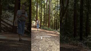When We Are Both On The Verge Of Mental Breakdown - Get To The Big Trees And Chill In A Hammock