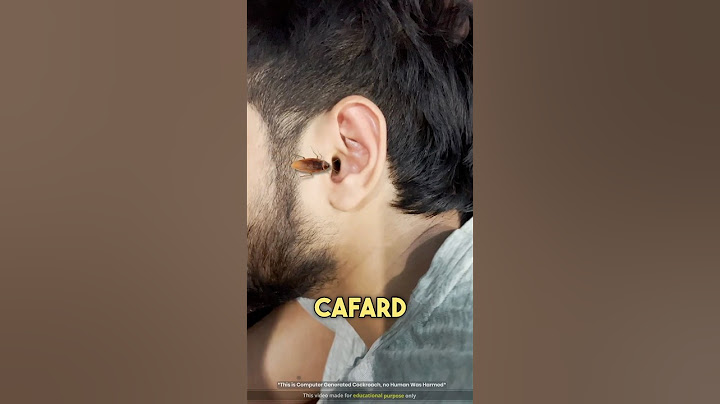 Que Faire Si Un Cafard Entre Dans L'oreille 😨