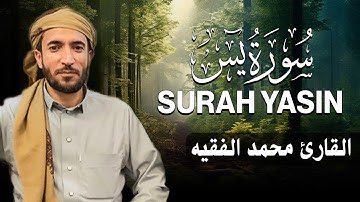 سورة يس كاملة (مكتوبة ) للقارئ الشيخ محمد الفقيه _ تلاوة خاشعة ومؤثرة😌💚