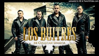 Vignette de la vidéo "ME GUSTA ME GUSTA - LOS BUITRES DE CULIACAN (audio original)"