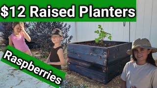 EZ $12 DIY Raised Planters For Raspberries | Shou Sugi Ban