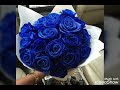اغنيه رني رنه -- نور التوت.... حالات واتس 2019💙