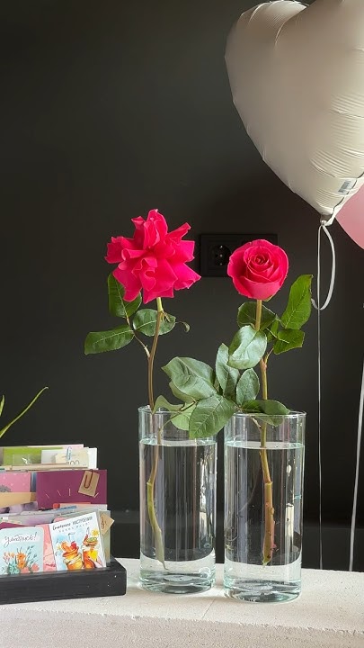 А вы любите французские розы? #цветы #букет #flowers #цветытула # ...