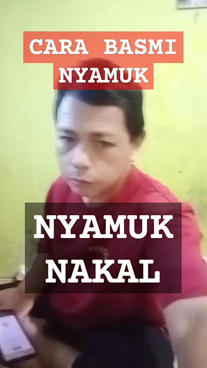 KETIKA DI GANGGU NYAMUK. #comedy #lucu #ngakak