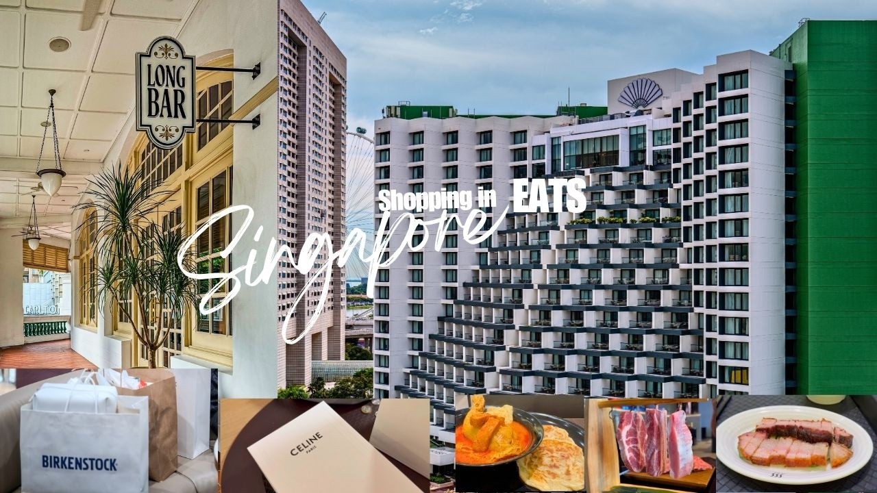 “super late” Christmas Vlog  Shopping  | Singapore eats 