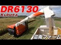 稲刈り2019(DR6130)