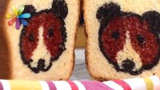 Тостовый хлеб с рисунком в форме мишки от Лизы Глинской! – Все буде добре. Выпуск 994 от 04.04.17 Тостовый хлеб с рисунком в форме мишки от Лизы Глинской! – Все буде добре. Выпуск 994 от 04.04.17