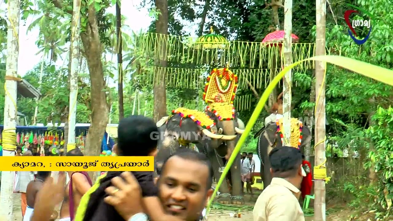 മുറ്റിച്ചൂർ അയ്യപ്പൻ കാവ് ഉത്സവത്തിനിടെ ആന ഇടഞ്ഞ ദൃശ്യങ്ങൾ