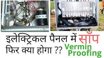 Snake in Electrical Panel at Work | Electrical work Safety | Vermin Proofing | हिंदी