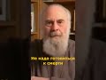 Не надо готовиться к смерти. Митрополит Антоний Сурожский.