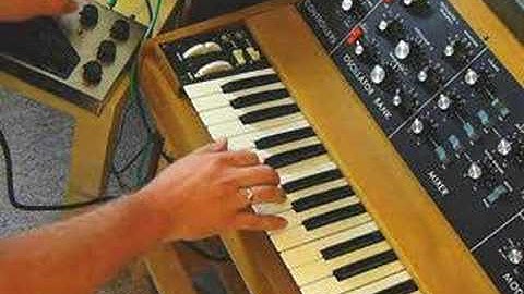 Electro Harmonix Memory Man Deluxe Analog Delay + Minimoog