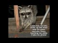 My New Nesco Dehydrator, Dehydrating Brocolli, and the pesky Raccoon.