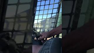 Celebrity Bobcat773 squeal stall Wealth