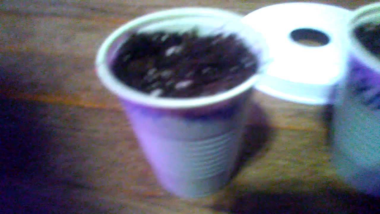 Tropicana cookies f2 and jr mints x  white tahoe cookies