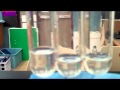 Factors Influencing Enzyme Activity in Biological Experiments