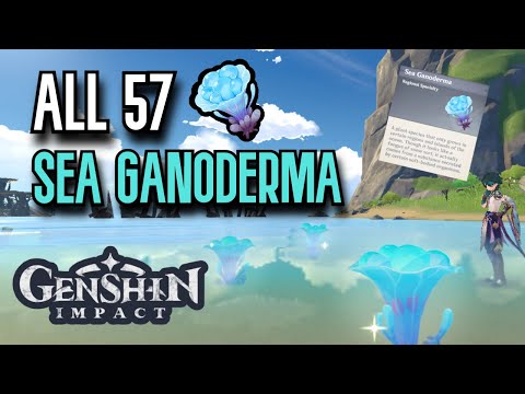 ALL 57 Sea