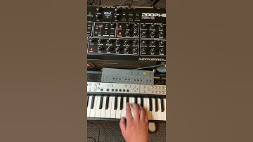 aquatic ambience patch sequential prophet rev2