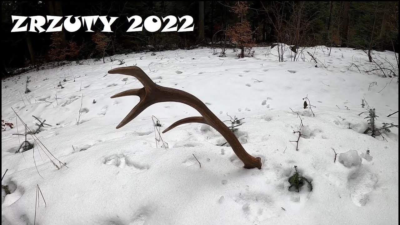 zrzuty 2022 podsumowanie marca 16 szt.