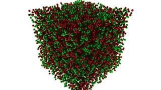 The Formation Of A Bigel At 12.5% In Silico