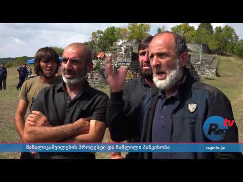 მაჩალიკაშვილების პროტესტი და ჩაშლილი „პანკისობა“