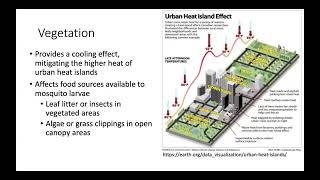 UTC MathBio Webinar - Suzanne Robertson (Virginia Commonwealth University) - Feb 25, 2026
