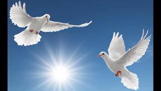 Dana Winner - Duizend mooie dromen (geloof video)