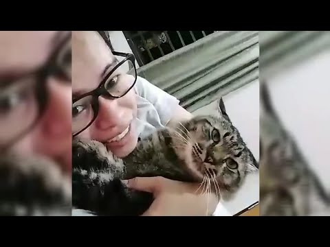 Video: Grass Para Sa Mga Pusa: Mga Uri, Benepisyo, Kung Paano Ito Palaguin Sa Bahay, Alin Ang Mas Mahusay Na Pipiliin, Kung Paano Mag-inis Ng Hayop Mula Sa Pagkain Ng Iba Pang Mga Halaman